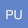 puttersea